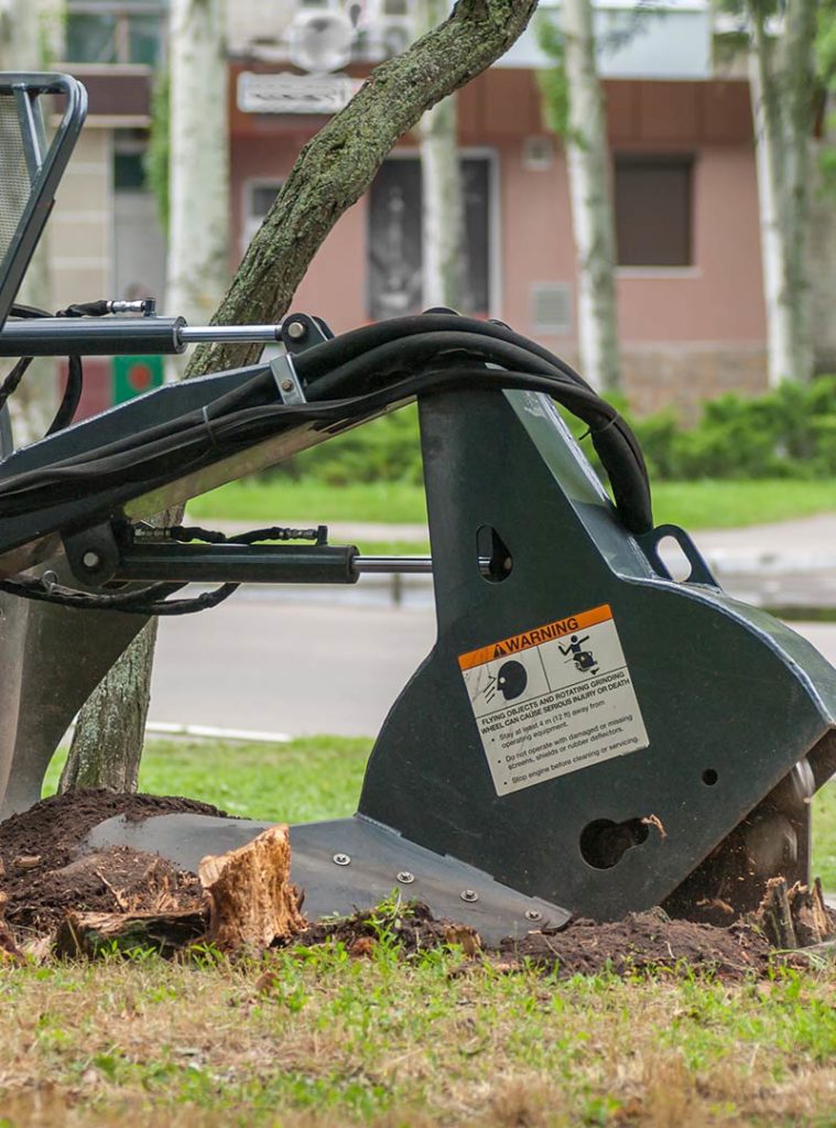 stump grinder company hernando county fl