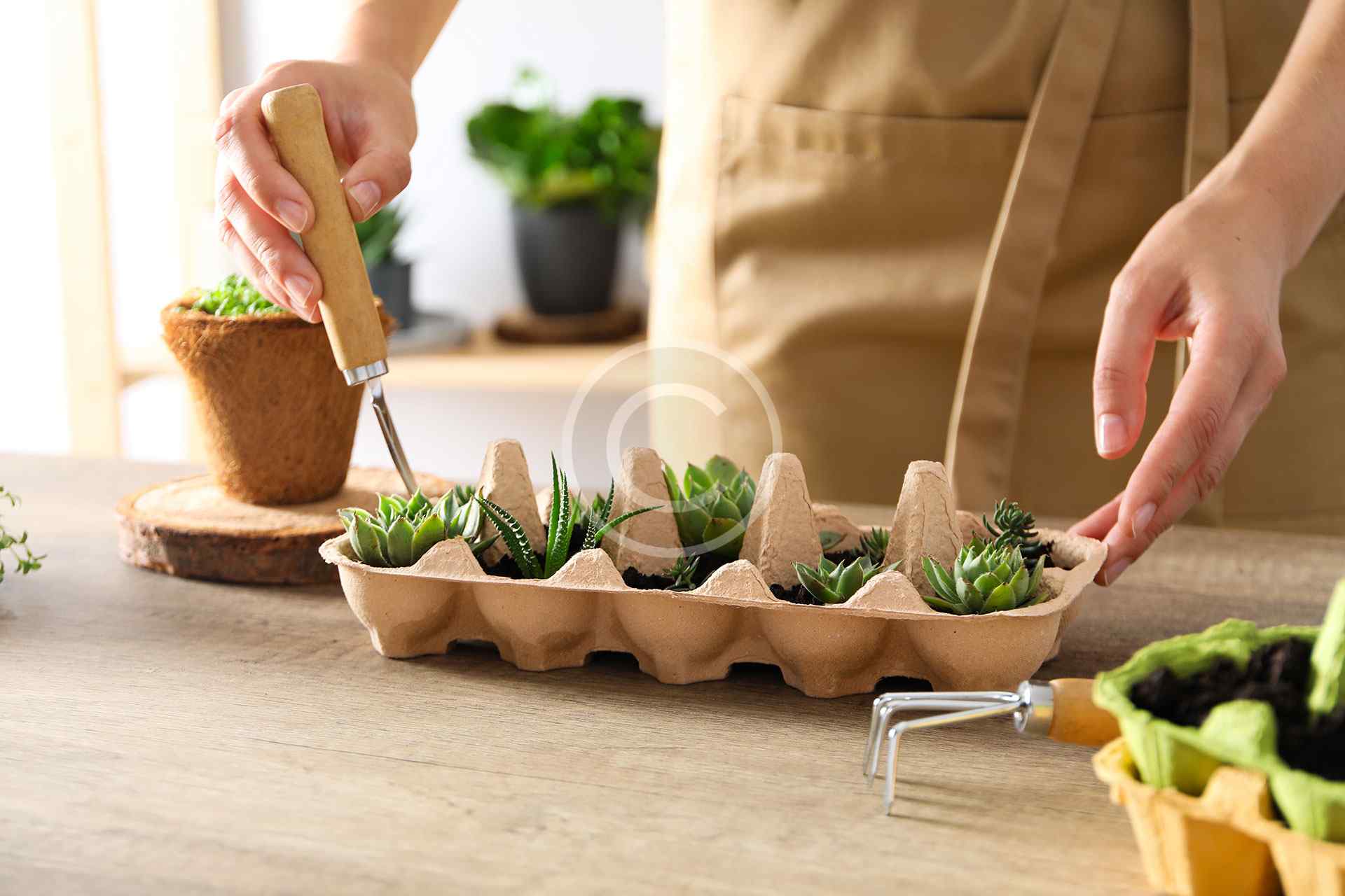 Bushes pruning